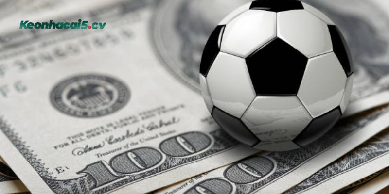 Có những lưu ý nào khi soi kèo cược trực tiếp hay không? Có những lưu ý nào khi soi kèo cược trực tiếp hay không?