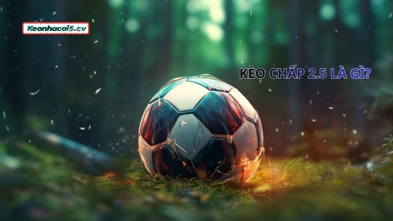 Kèo chấp 2.5 là gì bạn đã biết chưa?
