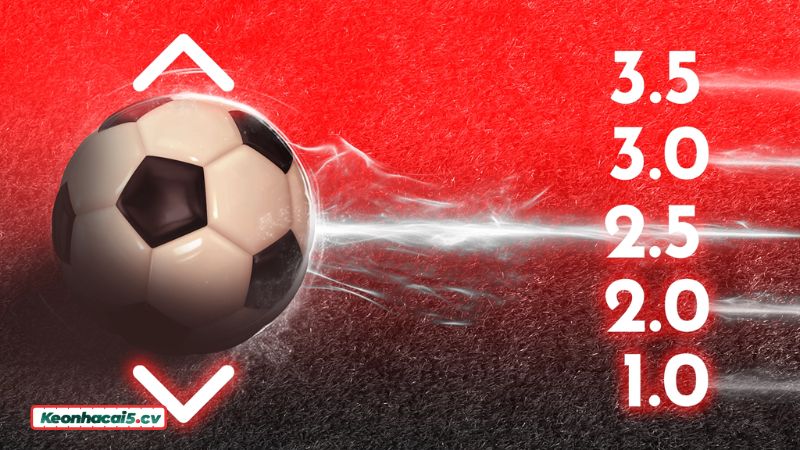 Nắm chắc luật chơi khi tham gia kèo Tài Xỉu Nắm chắc luật chơi khi tham gia kèo Tài Xỉu