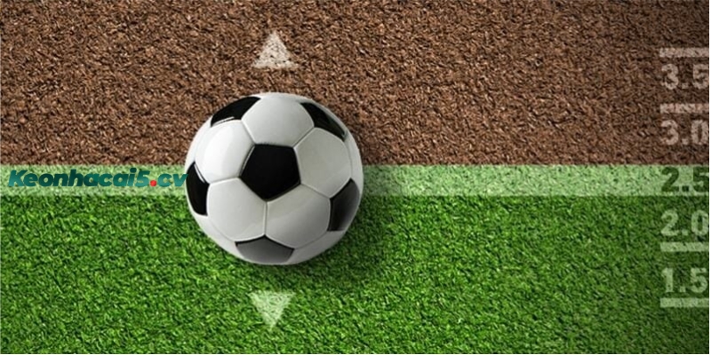 Hướng dẫn cách soi kèo tài xỉu cả trận cho người mới