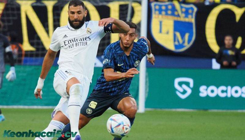 Những hiểu lầm phổ biến về Odds